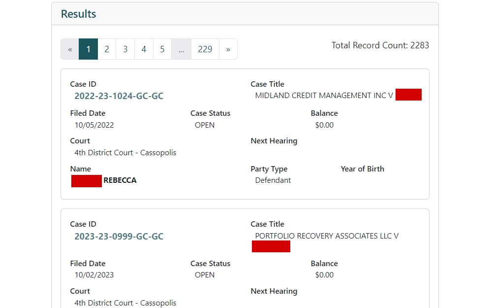 A screenshot of the result from the search on the Michigan Court - 4th District Court website shows information including case ID, case title, filing date, case status, balance, Court, subject's name, party type and year of birth.