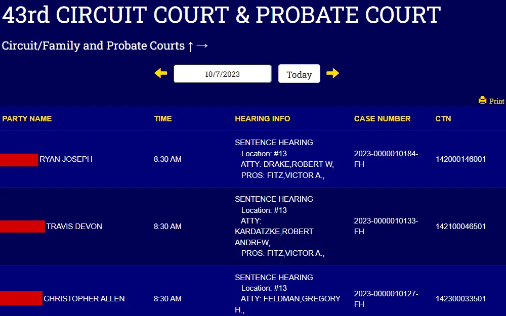 A screenshot of the 43rd Circuit Court and Probate Court Docket from the Michigan Courts website shows a list of the cases, including information such as party name, time, hearing info, case number and CTN, with an option to print.